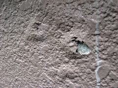 外壁を指で擦る